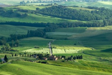 Val d 'Orcia Tuscany' deki tarım arazisi