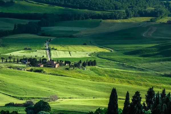 Mezőgazdasági terület Val d 'Orcia Toszkánában — Stock Fotó