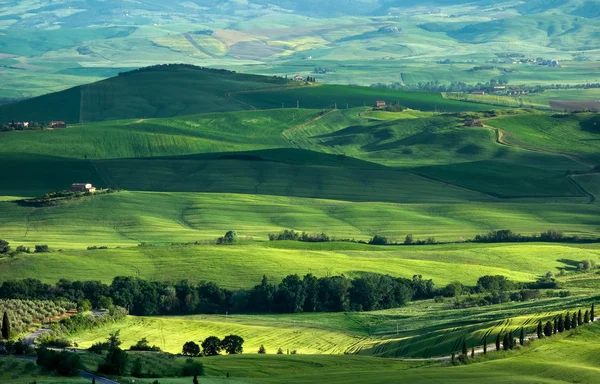 Mezőgazdasági terület Val d 'Orcia Toszkánában — Stock Fotó