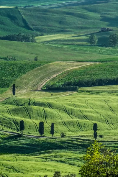 Countryside of Val d'Orcia near Pienza in Tuscany — Stock Photo, Image
