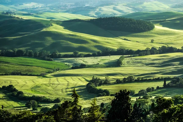 Countryside of Val d'Orcia near Pienza in Tuscany — Stock Photo, Image