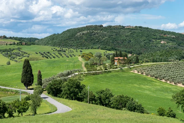 Landsbygden Val d 'Orcia i Toscana — Stockfoto