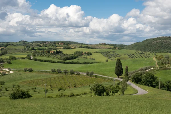 Val d 'Orcia környéke Toszkánában — Stock Fotó