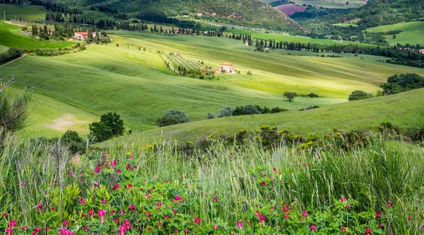 Boerderij in Val d 'Orcia Toscane — Stockfoto