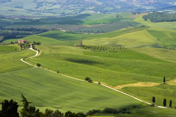 Countryside of Val d'Orcia near Pienza — Stock Photo, Image