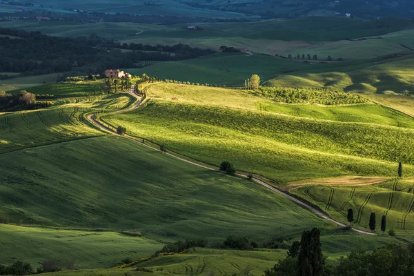 Campagna della Val d'Orcia Toscana — Foto Stock