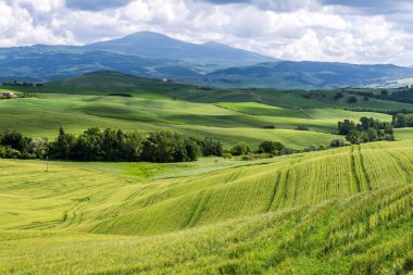 Val d 'Orcia Tuscany' deki tarım arazisi