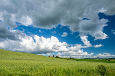 Val d 'Orcia Tuscany' deki tarım arazisi