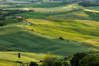 Tuscany 'deki Pienza' nın altındaki tarım arazisi.