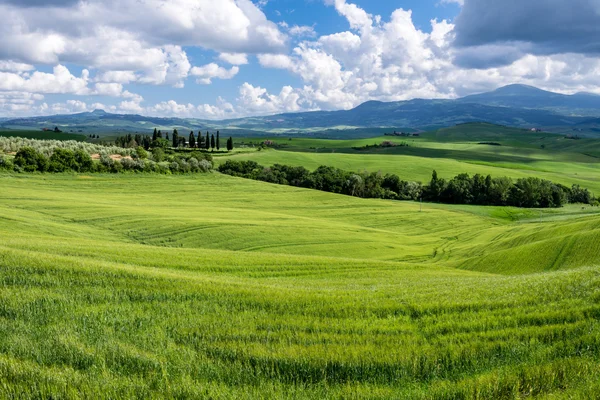 Val d'Orcia Tuscany的农场 — 图库照片