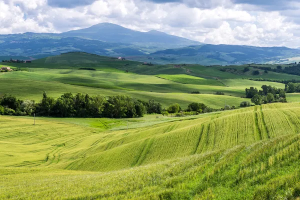 Ackerland im Val d 'Orcia Toskana — Stockfoto