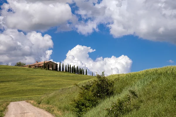 Val d 'Orcia Tuscany' deki tarım arazisi — Stok fotoğraf