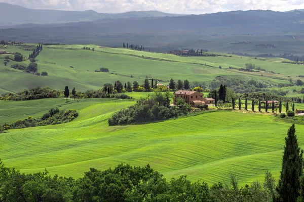 Gospodarstwa rolne poniżej Pienza w Toskanii — Zdjęcie stockowe