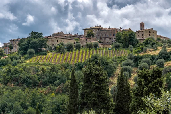 Montalcino Toskana kadar görüntüleme — Stok fotoğraf