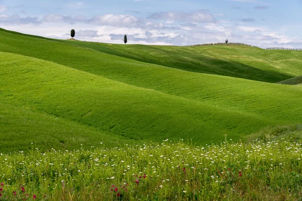 Uitzicht op het schilderachtige Toscaanse platteland — Stockfoto