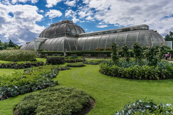 Kew Gardens Palm house — Stok fotoğraf