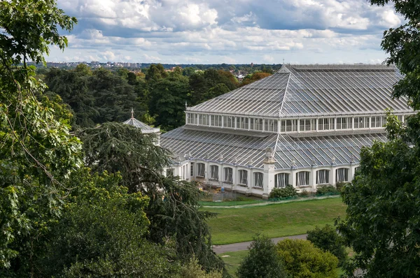 Kew gardens ılıman evde — Stok fotoğraf