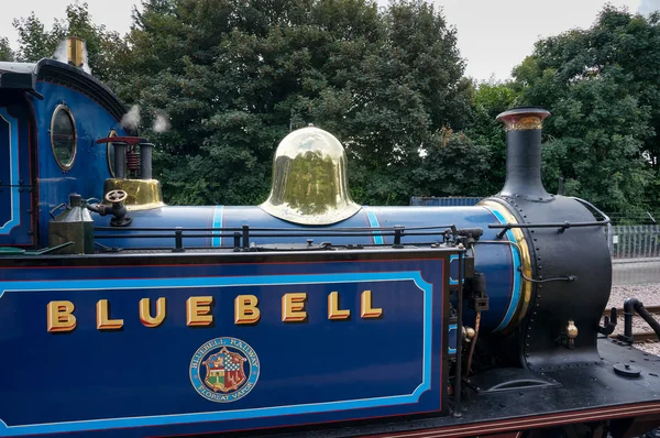 Bluebell ångamotorn i east grinstead — Stockfoto