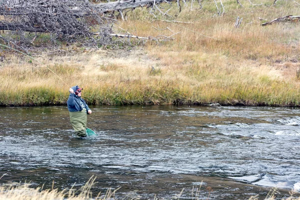 Vliegvissen in fairy creek — Stockfoto