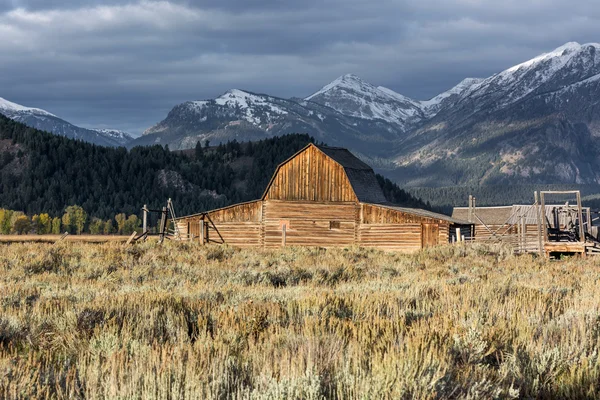 Vista de Mormon Row cerca de Jackson Wyoming — Foto de Stock