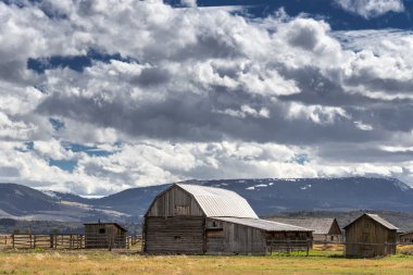 jackson Wyoming'in yakınlarında mormon satır görünümü