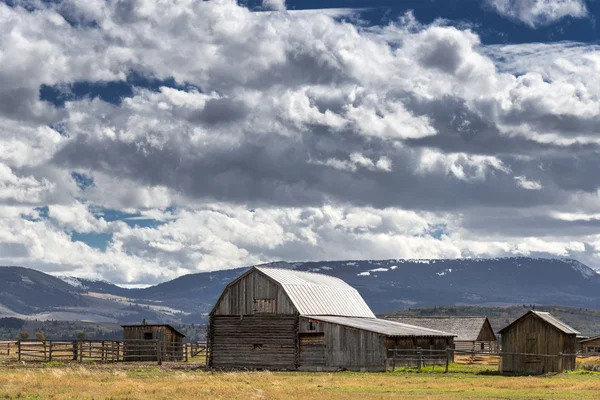 View of Mormon Row near Jackson Wyoming — Stock Photo, Image