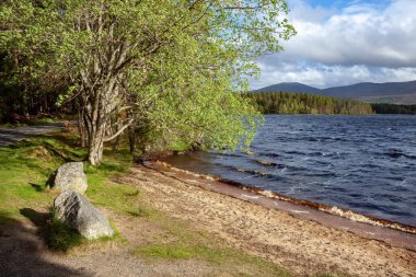 İskoçya 'daki Loch Garten' da dalgalı su