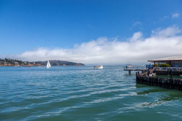 Sausalito California Usa August Motor Cruiser Approaching Marina Sanaquito California — 图库照片