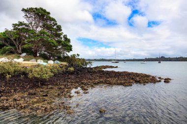 Kerikeri 'de ters dönmüş sandallar.