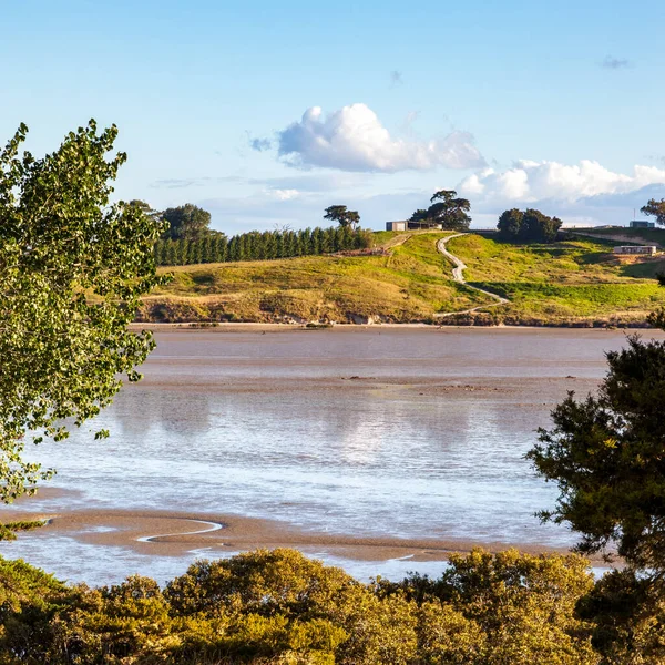 Getijdenrivier Landschap Het Noordereiland Van Nieuw Zeeland — Stockfoto