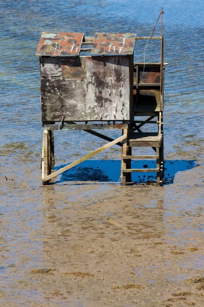 Wooden Hut Stilts Kairua Inlet — Stock Photo, Image