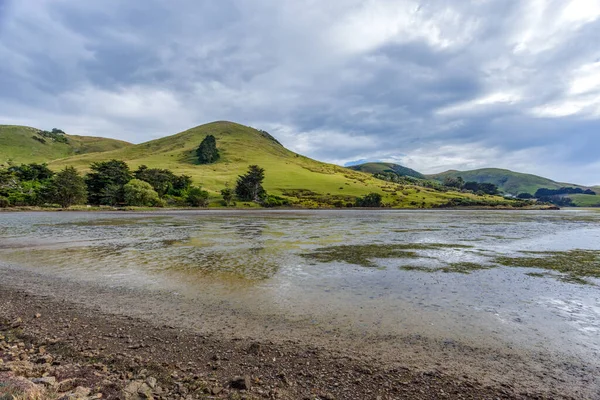 Het Schiereiland Otago Bij Dunedin Nieuw Zeeland — Stockfoto