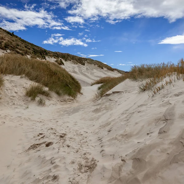 Zandduinen Bij Sandfly Bay South Island Nieuw Zeeland — Stockfoto