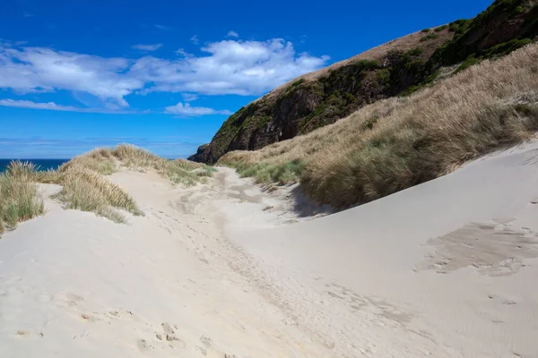 Zandduin Bij Sandfly Bay Nieuw Zeeland — Stockfoto