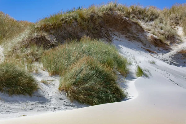 Sanddyner Vid Sandflugebukten Nya Zeeland — Stockfoto