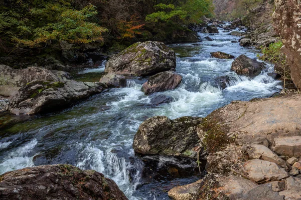 Rapids Längs Glaslyn Floden Hösten — Stockfoto