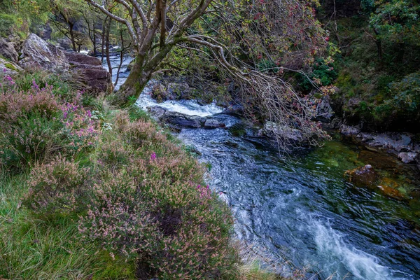 Blick Entlang Des Glaslyn River Herbst — Stockfoto