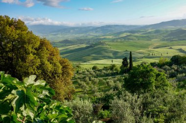 val d'orcia pienza Toskana yakınındaki kırsal