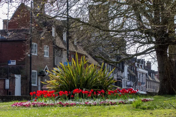 East Grinstead West Sussex May Flower Display High Street East — Stockfoto