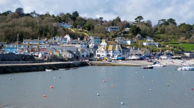 Lyme Regis Limanı manzarası