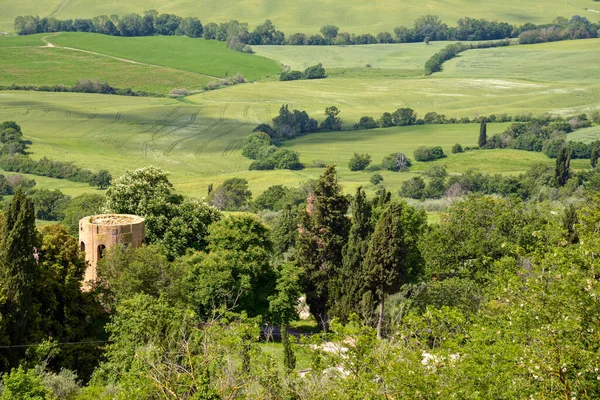 Pienza Tuscany イタリア 5月18日 5月18日のイタリア ピエンツァ近郊のヴァル ドルシア地方 — ストック写真