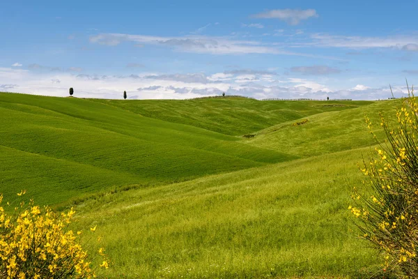 Vista Panoramica Sulla Campagna Toscana — Foto Stock