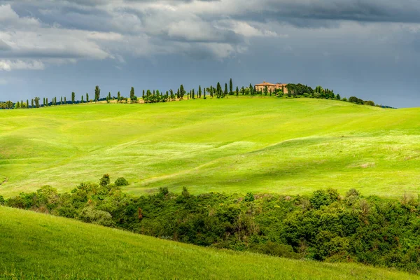 Pienza Tuscânia Itália Maio Verdante Paisagem Rolante Fazenda Toscana Maio — Fotografia de Stock