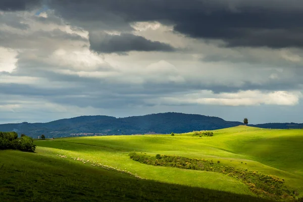 Vista Panoramica Sulla Campagna Toscana — Foto Stock