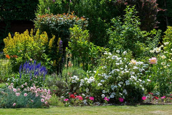 Jardín East Grinstead Plena Floración — Foto de Stock