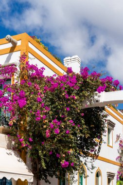 PUERTO DE MOGAN, GRAN CANARIA, Kanarya Adaları - 7 Mart 2022 tarihinde Puerto de Mogan Gran Kanaryası 'nda Bougainvillea