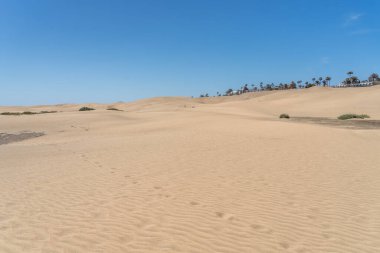 MASPALOMAS, GRAN CANARIA, CANARIA ADA, İSPAN - 11 Mart: Maspalomas yakınlarındaki kum tepelerinin görüntüsü, Gran Canaria, 11 Mart 2022.