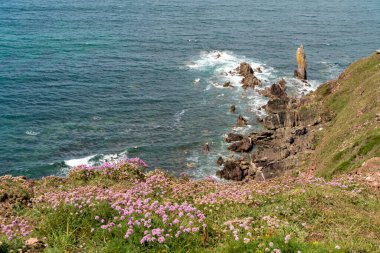 Devon 'da Thurlestone yakınlarındaki vahşi kayalıklar.