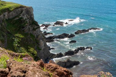 Devon 'da Thurlestone yakınlarındaki vahşi kayalıklar.