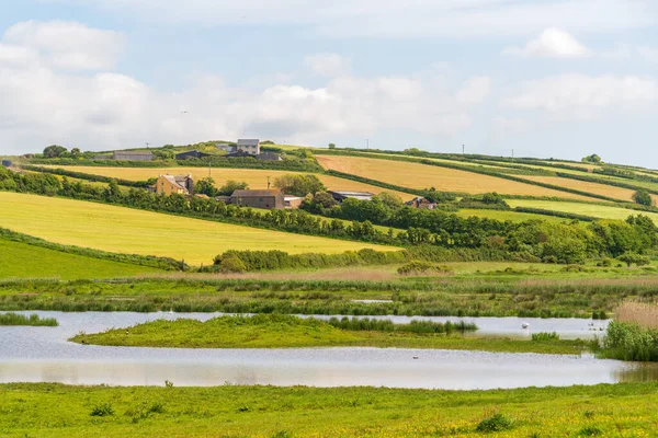 Vistas Panorámicas Del Campo Reserva Humedales South Huish Devon —  Fotos de Stock